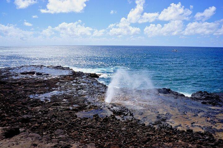Kauai Ganztagestour mit Kreuzfahrtschiffen oder Abholung vom Flughafen Kauai