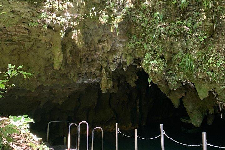 Visite privée des grottes de Waitomo - Auckland Tour House