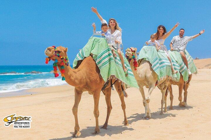 Tour in cammello a Los Cabos