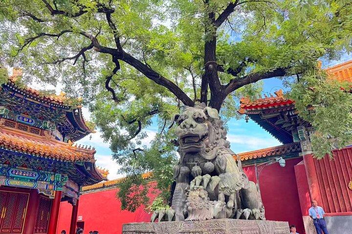 Summer Palace, Hutong Rickshaw, Lama and Confucius Temple Tour