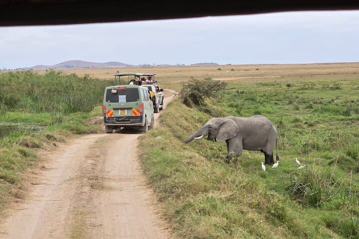 Explore the Maasai Mara and Nairobi City Tour