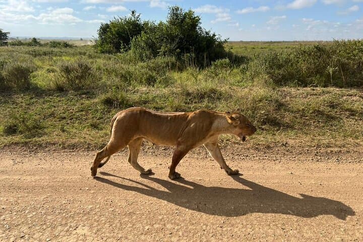 Explore the Maasai Mara and Nairobi City Tour
