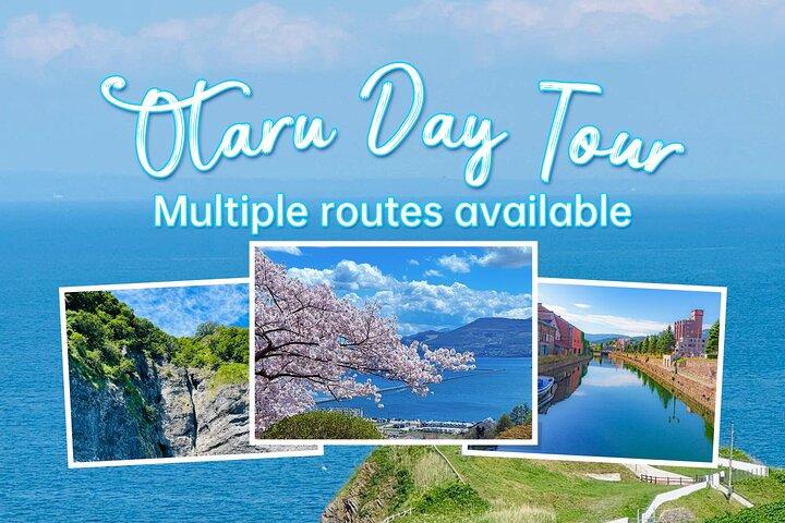 Hokkaido Otaru Private Full Day Tour (afgang fra Sapporo)