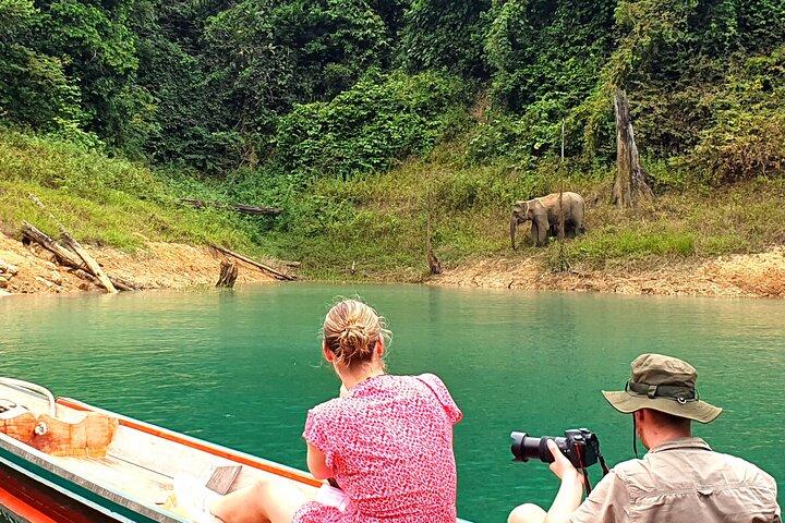 Khao Lak : Lac Cheow Lan, Randonnée dans la jungle, Grotte de diamant, Tout inclus