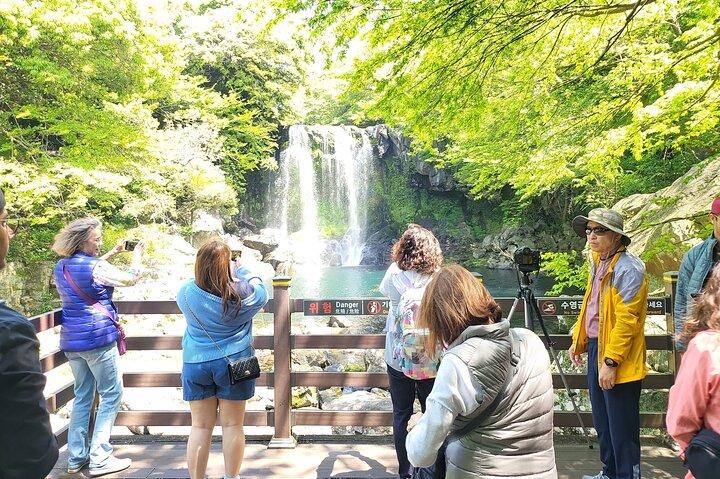 Jeju Spirited Garden e zona sud dell'isola di Jeju