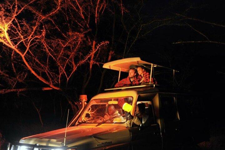 Excursão ao Parque Nacional de Nairobi Sunset and Night Game Drive