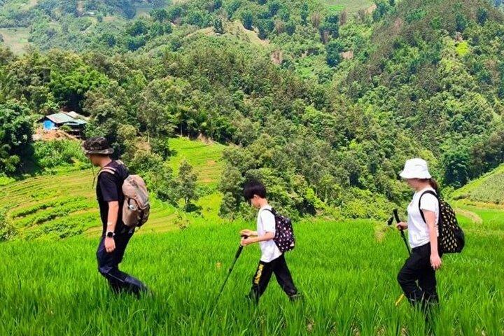 2 Days and 1 NIght Sapa Highland Journey