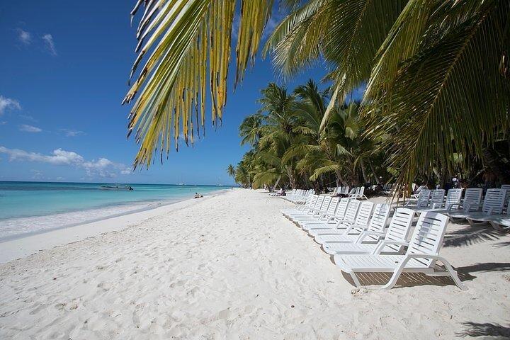 Saona Island Tour