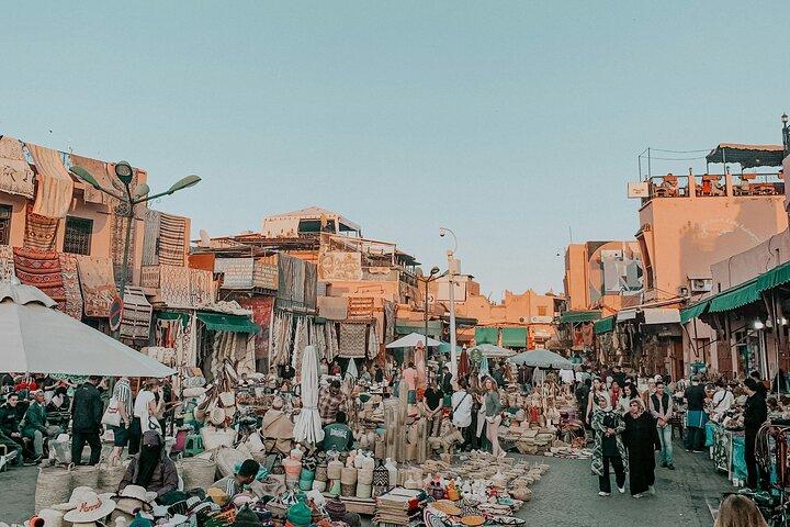 Halvdagstur i Marrakech : Trädgårdar & Medinaliv