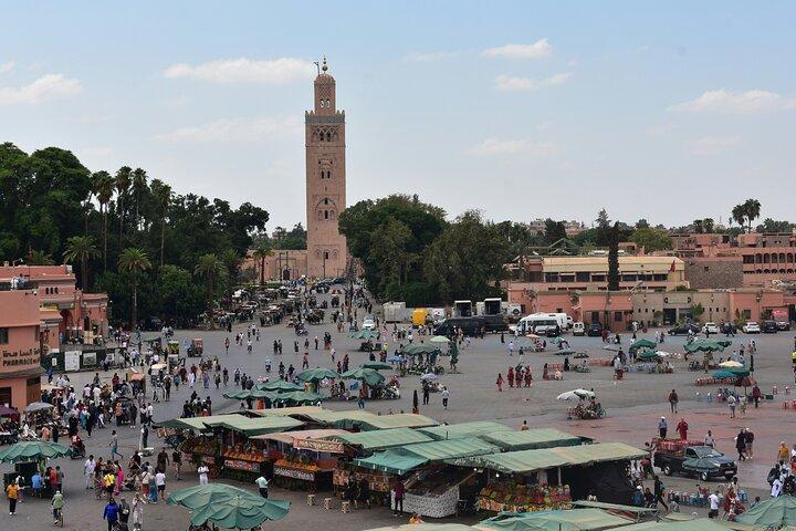 Halvdagstur i Marrakech : Trädgårdar & Medinaliv