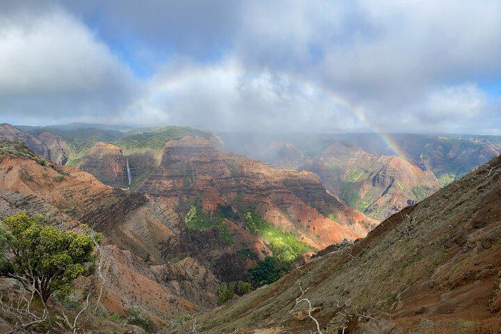 Kauai's Waimea Canyon en South Side Private Guided Tour