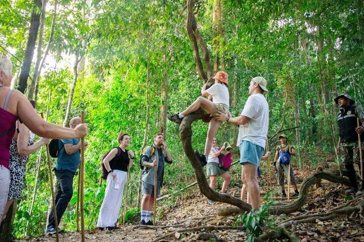 カオソクを探索：タイの自然のままの熱帯雨林でジャングルサファリ