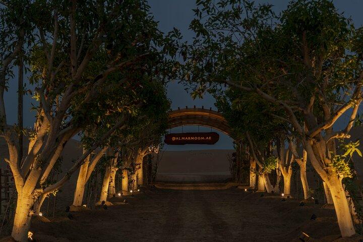 Dubai Self-Drive Quad Bike, Camels, Stargazing & 5* BBQ Al Khayma