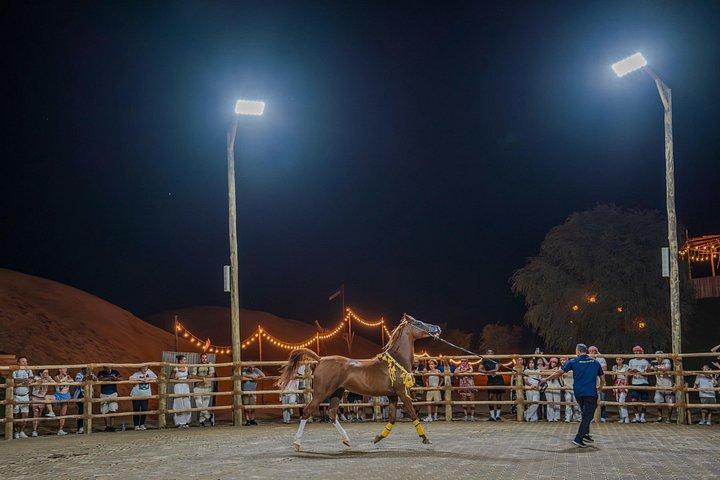 Dubai Self-Drive Quad Bike, Camels, Stargazing & 5* BBQ Al Khayma