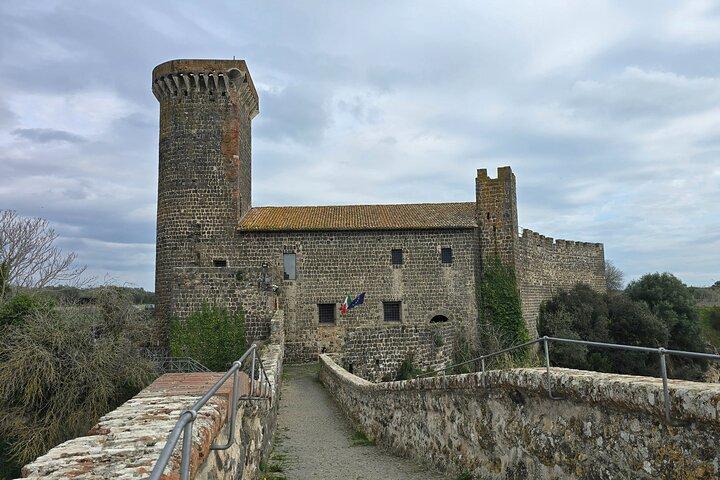 Tour privato di un giorno in Toscana dal porto di Civitavecchia