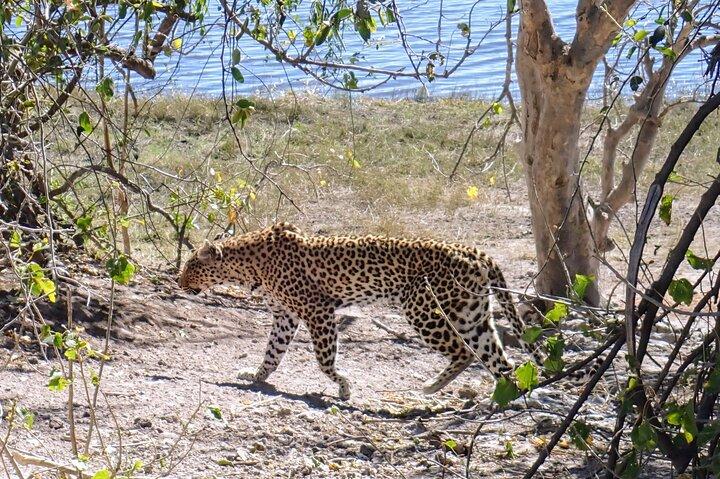 Full Day Chobe Private Tour from Livingstone