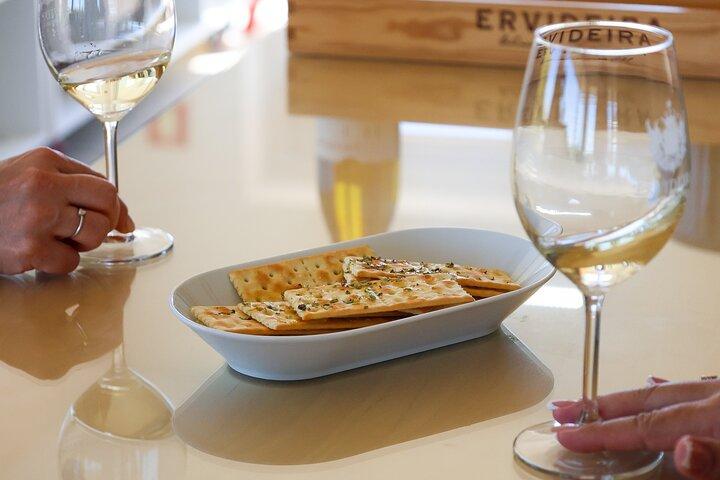 From Lisbon: Small Group Évora Tour, Bones Chapel & Wine Tastings