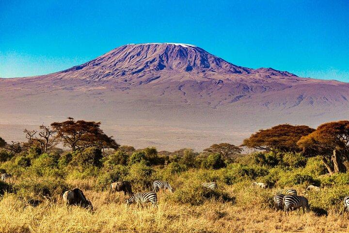 7-daagse Mt Kilimanjaro Machame Route