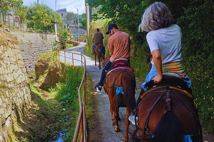 ソレントガイド付き乗馬ツアー