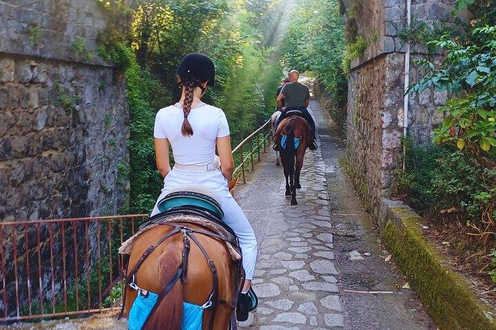 ソレントガイド付き乗馬ツアー