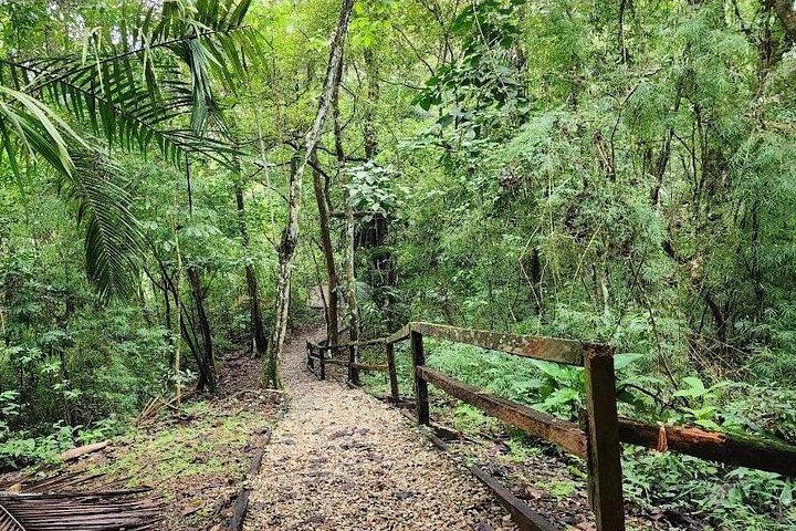 パナマ運河に入り、半日で街を探索しましょう