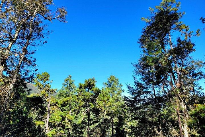 Explore Sierra Norte, Half-Day Hiking Adventure