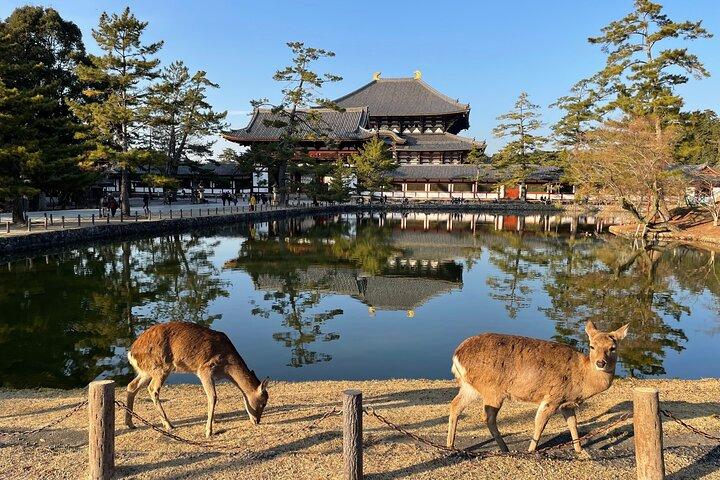 Excursión en grupo pequeño a Kioto y Nara desde Osaka