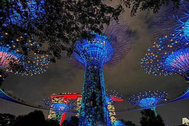 2 Pax Bundle Singapore Riviercruise en prachtige lichtshows