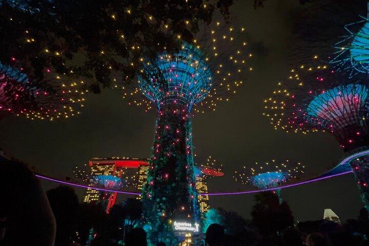 2 Pax Bundle Singapore Riviercruise en prachtige lichtshows
