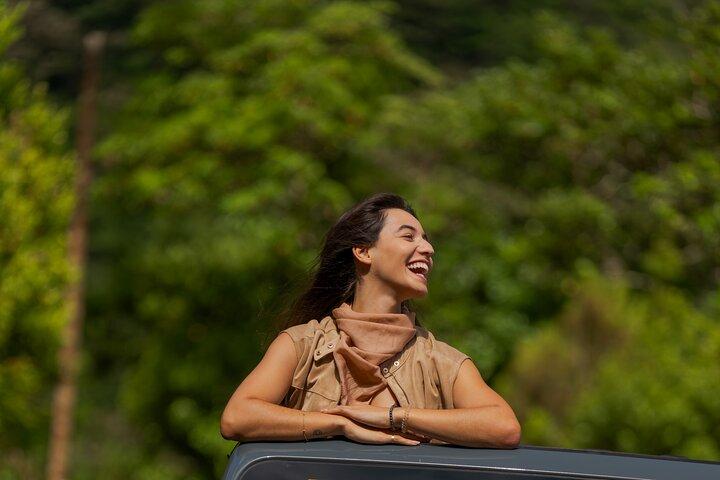 Madeira : Mystical Fanal Forest&Porto Moniz Natural Pools 4x4 Tour(マデイラ島:神秘的なファナルの森&ポルト・モニス自然プール4x4ツアー)