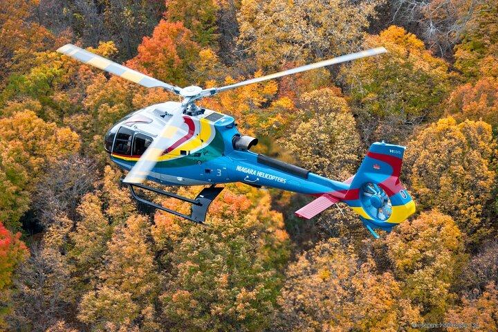 トロント発：ナイアガラの滝紅葉とメープルテイスティングツアー