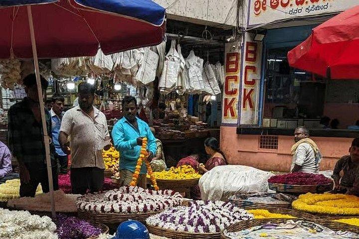 Bangalore Sightseeing guided Tour private transport