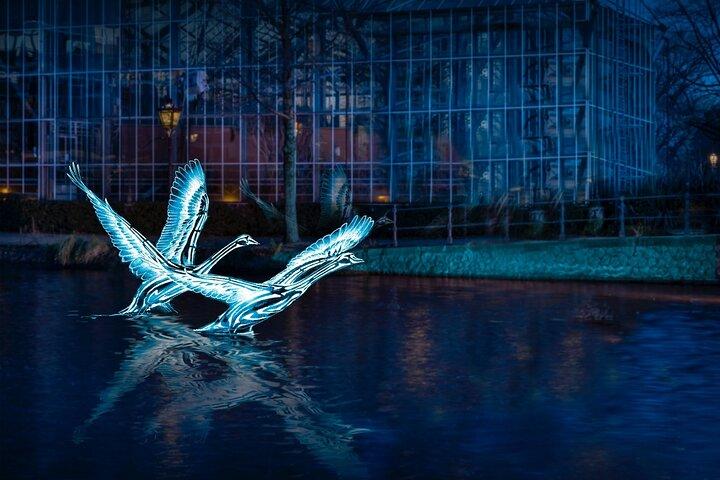 Amsterdam: Light Festival båd med valgfrie drikkevarer