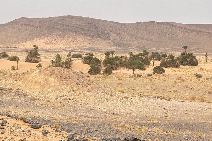 5 días y 4 noches de aventura de caza de fósiles en Marruecos