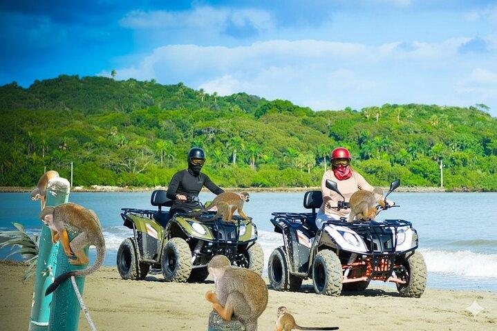 Kombination: ATV og abeeventyr