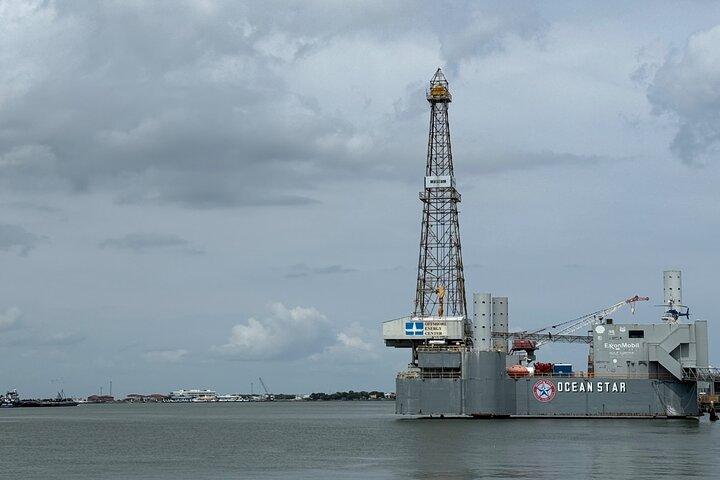 Galveston Historische Hafenrundfahrt mit Delfinen