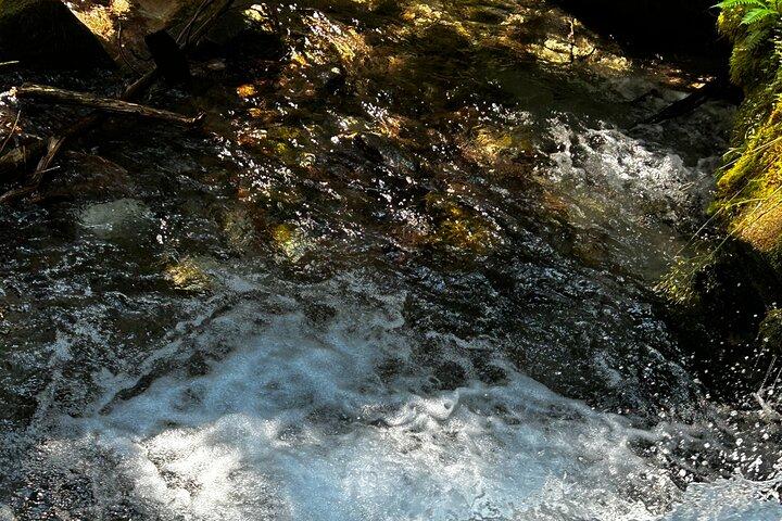 リンデマンとチリワック湖観光ツアー
