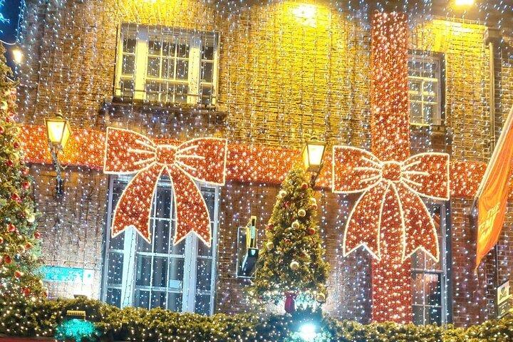 Dublin's Winter Walks