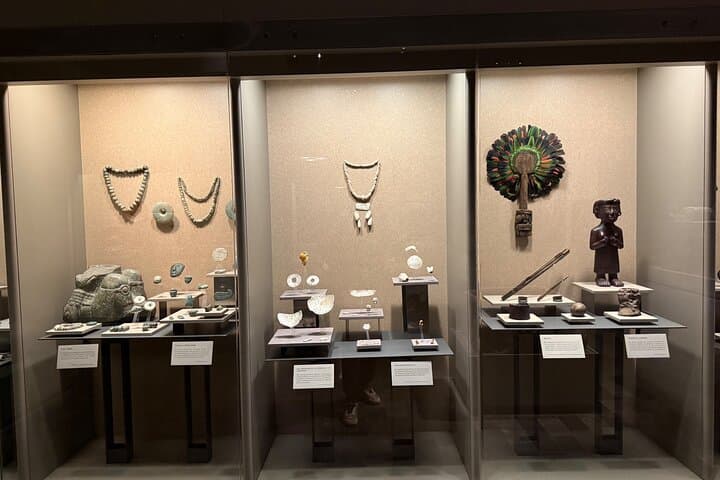 National Museum of Anthropology with a face-to-face guide.
