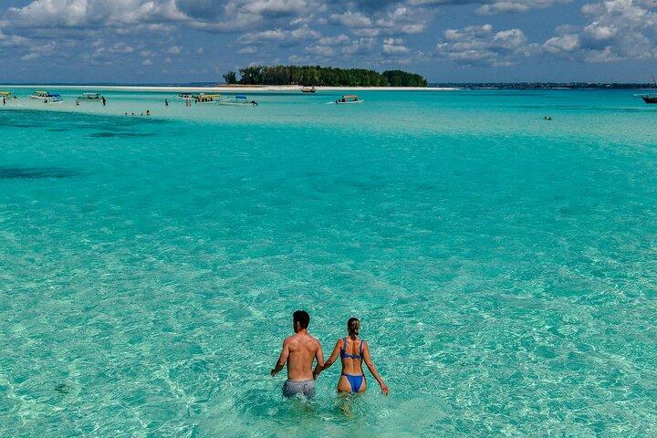 Privado/Compartiendo : Explora la isla Mnemba con un dhow