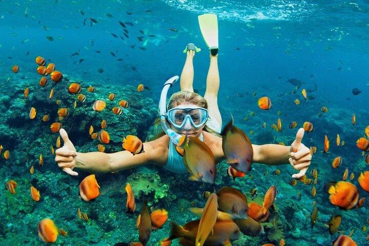 Tour de Cu Lao Cham DAy com snorkeling a partir de Hoi An ou Da Nang