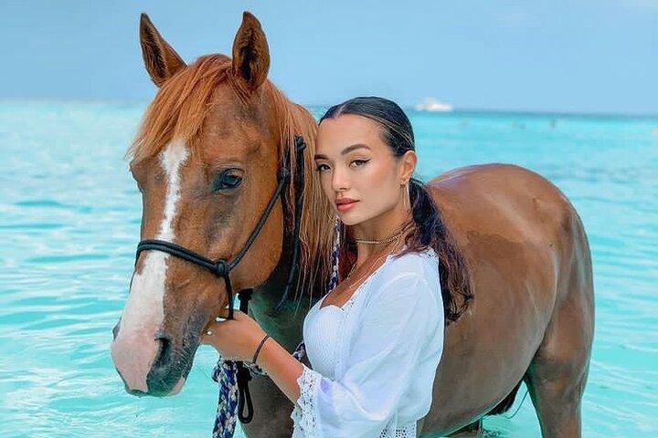 ザンジバルのビーチで馬と泳ぐ体験