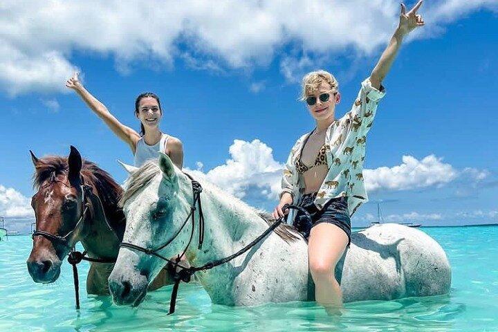 ガイド付き海浜で乗馬するザンジバル