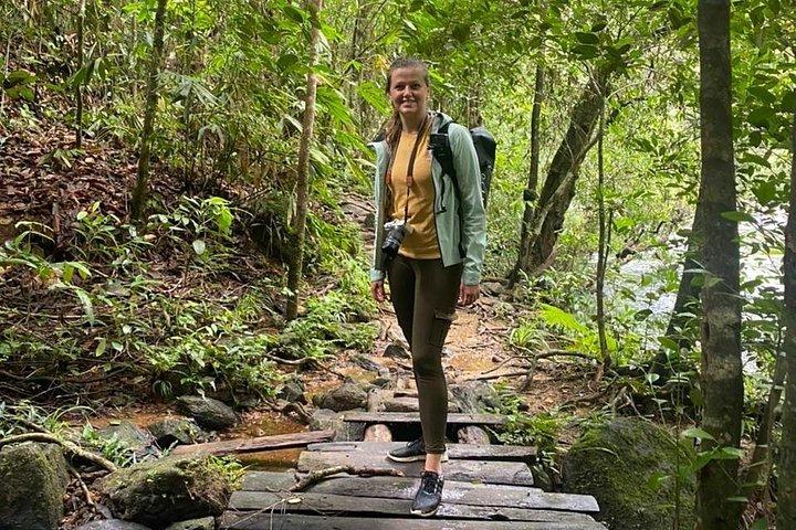 Sinharaja Regenwald Trek mit Fortgeschrittener und Mittagessen