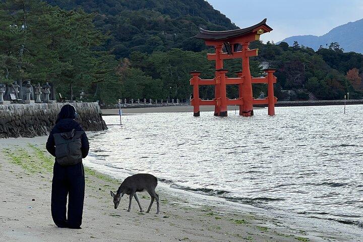 Kyoto Full-Day Excursion from Kobe (Osaka) Port
