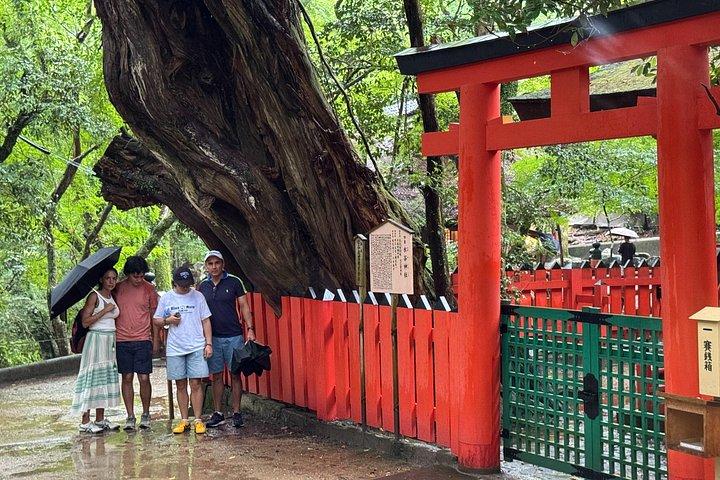 Kyoto Full-Day Excursion from Kobe (Osaka) Port