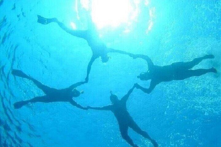 Coral Garden Excursão de snorkeling de dia inteiro com almoço: Marsa Alam