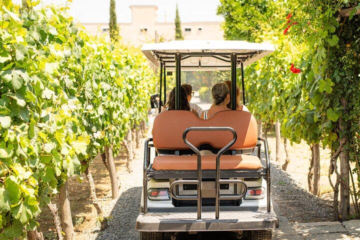 De la viña a la mesa : Cata de vinos y almuerzo napolitano en Pompeya