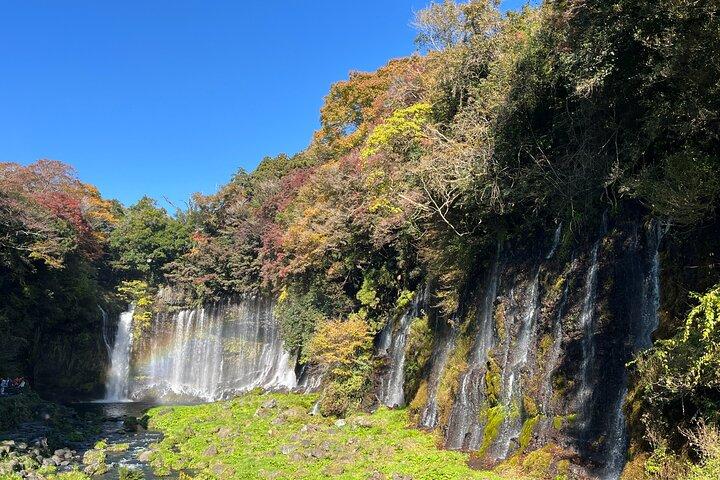 清水港マイカーツアー－富士山＆地元の見どころ