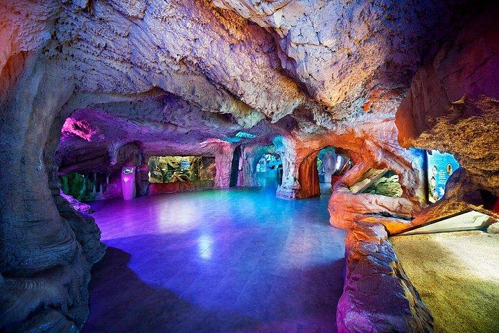 Istanbul Aquarium Experience with Comfortable Hotel Transfers